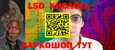 шишки Свободный